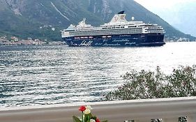 Montenegro Apartments