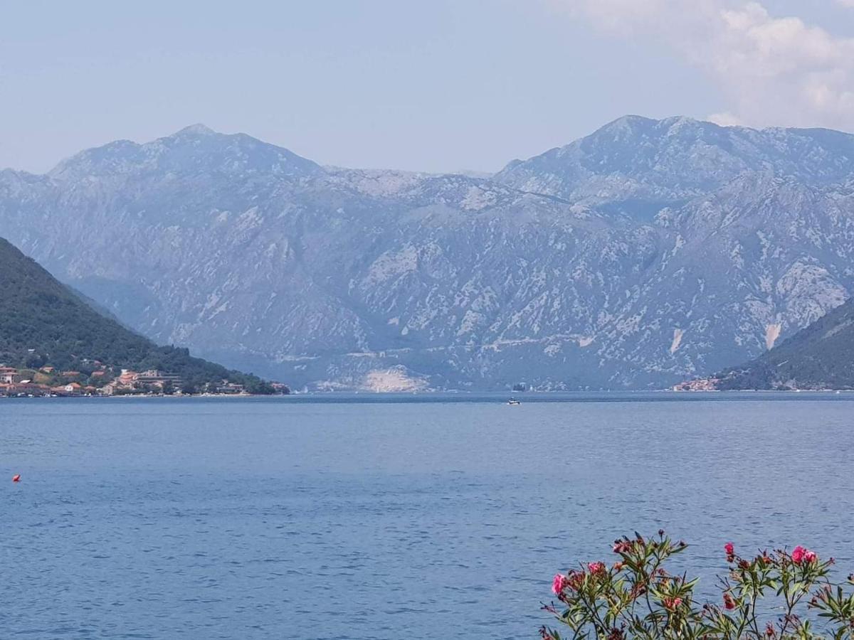 Montenegro Apartments Kotor Exterior foto