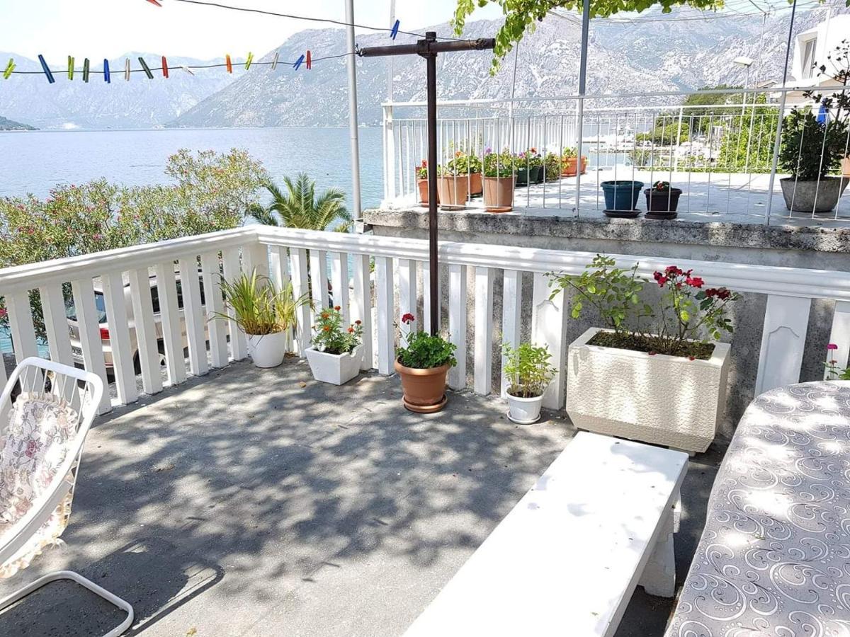Montenegro Apartments Kotor Exterior foto