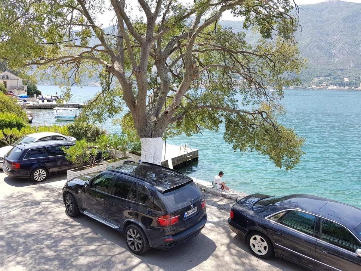 Montenegro Apartments Kotor Exterior foto
