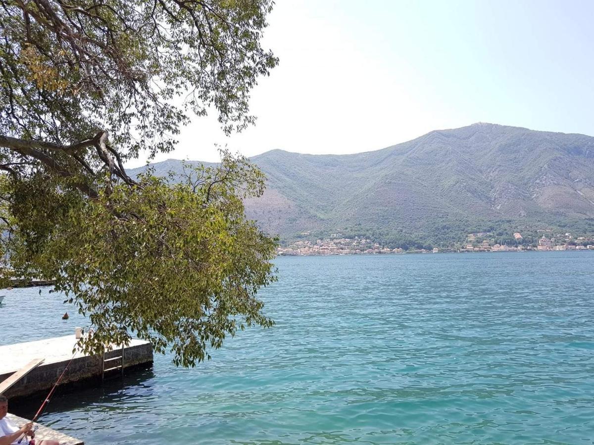 Montenegro Apartments Kotor Exterior foto